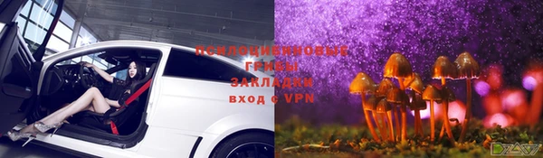меф Гусь-Хрустальный