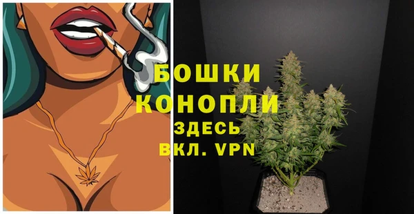 тгк Гусиноозёрск
