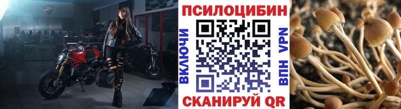 кракен сайт  Подпорожье  Галлюциногенные грибы GOLDEN TEACHER 