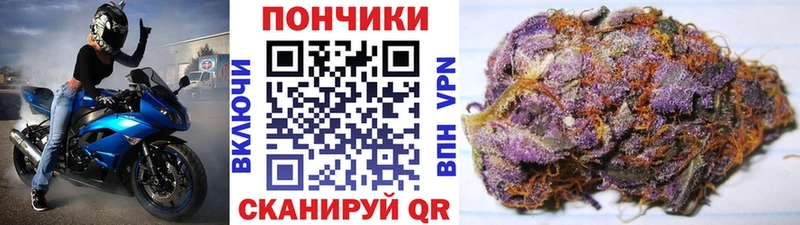 МАРИХУАНА гибрид  Подпорожье 
